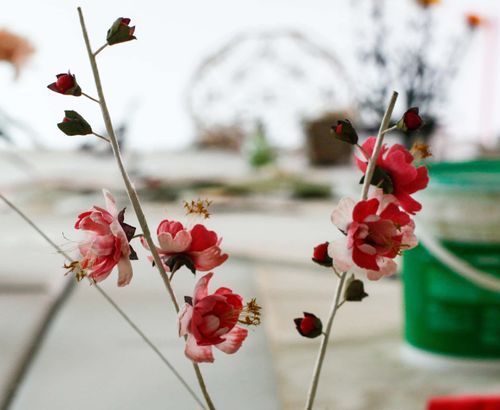 paper - paper flower