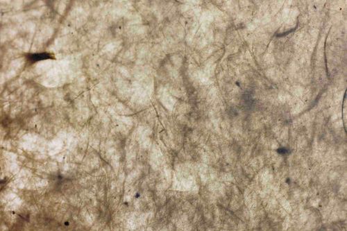 paper texture - dongba paper